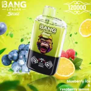 BANG Leader Stoll 120K