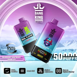 Alternative view of Bang King Dual Flavor 50K Puffs 2U1