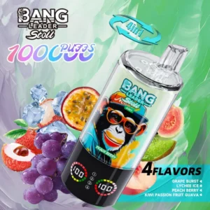 Alternative view of BANG Leader Stoll 100K Puffs 4u1