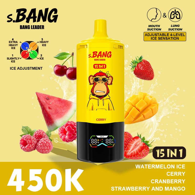 BANG LEADER 450K - Image 9