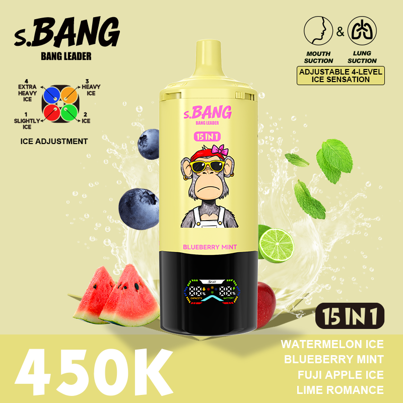 BANG LEADER 450K - Image 4