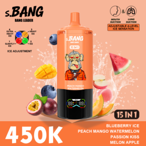 Alternative view of BANG LEADER 450K