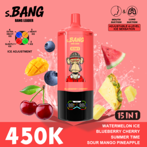 BANG LEADER 450K