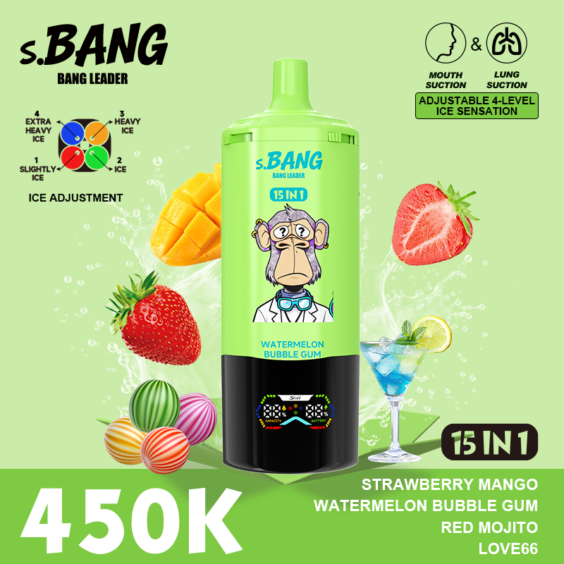 BANG LEADER 450K - Image 10
